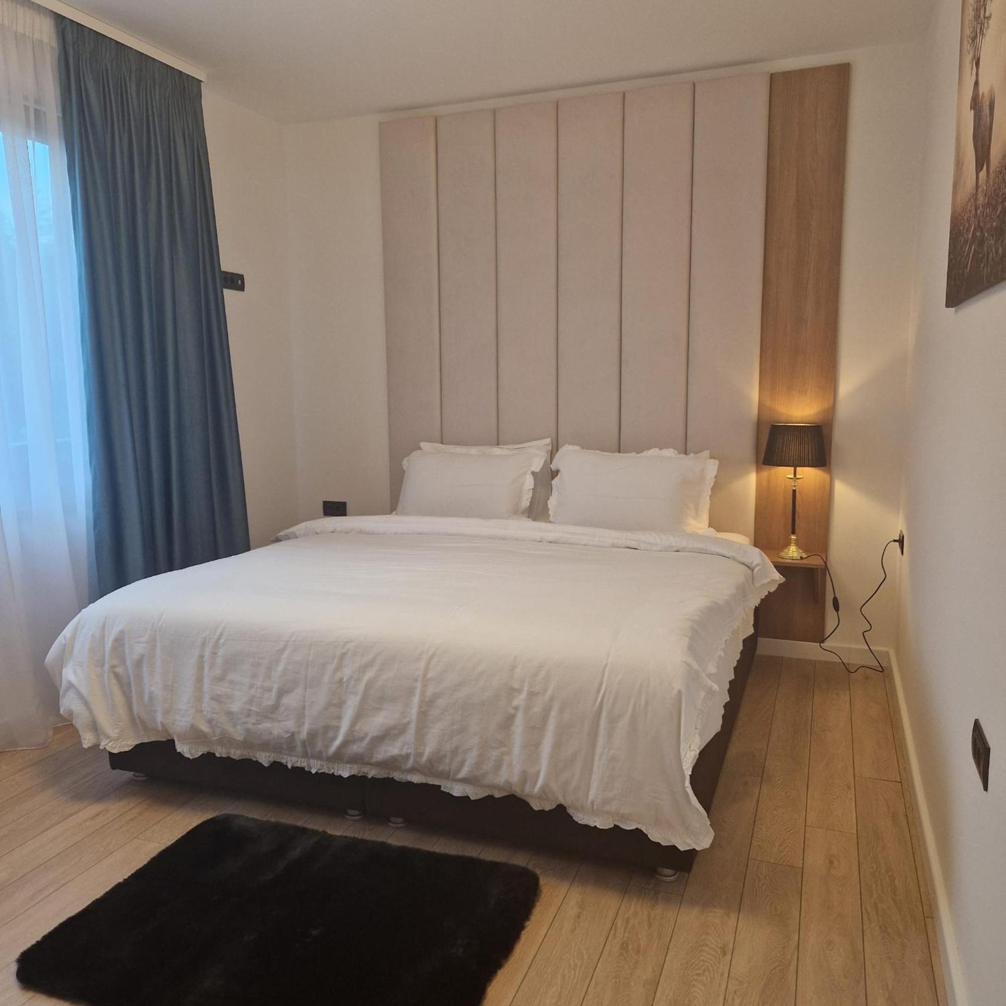 Albert Residence Aparthotel Grand Chalet With Free Spa Access To Alpin Resort Poiana Braşov Dış mekan fotoğraf