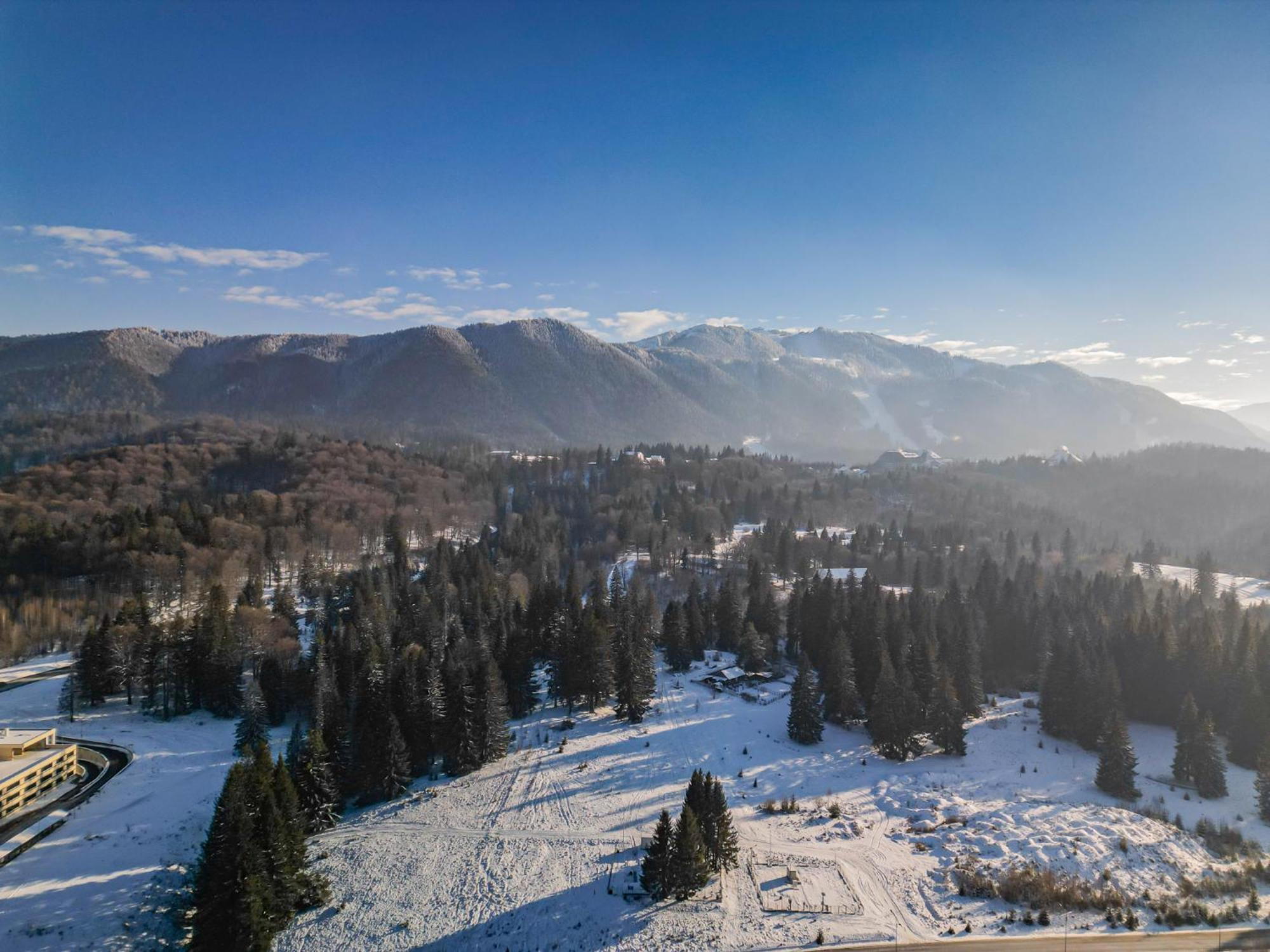 Albert Residence Aparthotel Grand Chalet With Free Spa Access To Alpin Resort Poiana Braşov Dış mekan fotoğraf